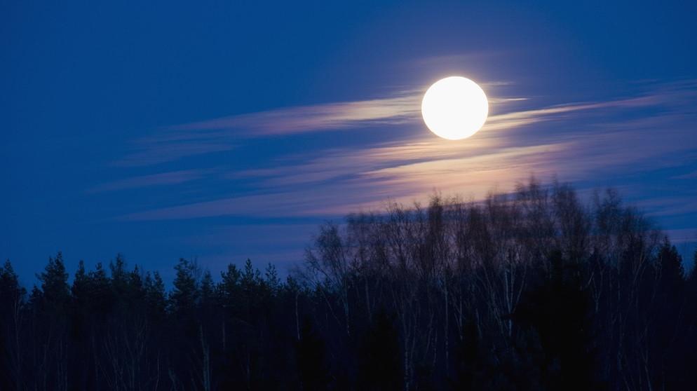 Vollmond